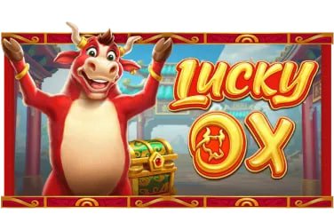betwinner5 Live Baccarat ဂိမ်းကစားသမားများ